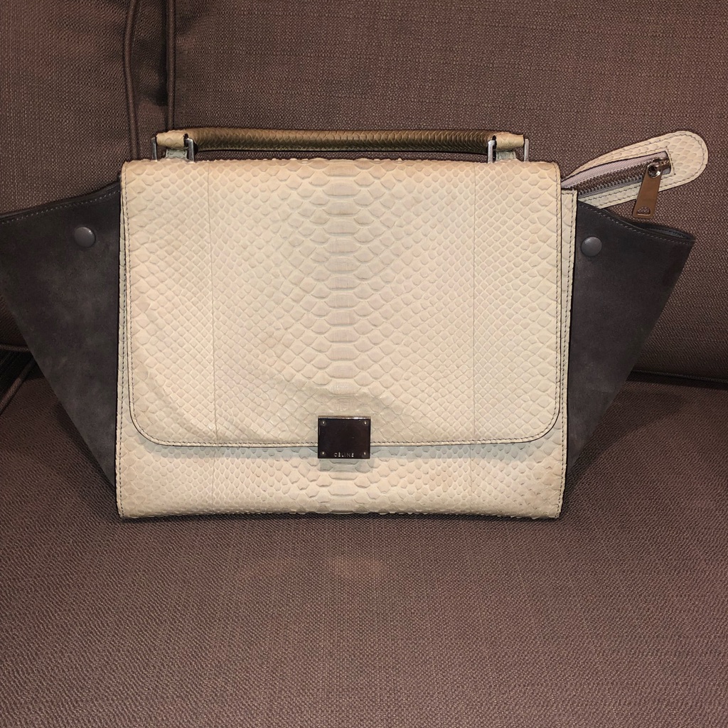 Cline Trapeze Bag With Python